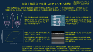 単分子誘導体を実装したメモリセル開発